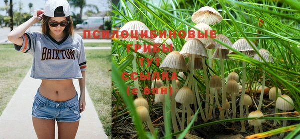 MESCALINE Дмитриев