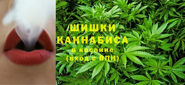 apvp Гусиноозёрск