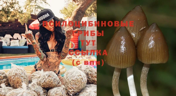 spice Дмитров