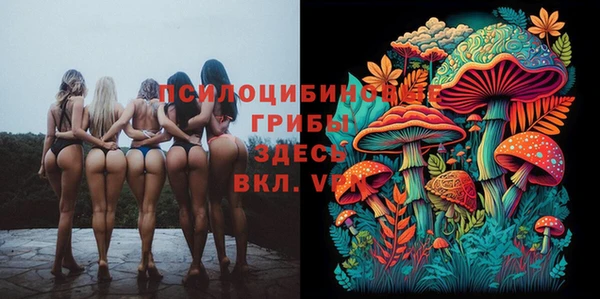MESCALINE Дмитриев