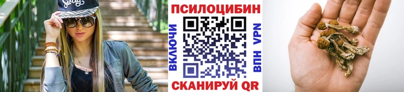 наркота  Данков  Псилоцибиновые грибы Magic Shrooms 